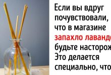 Photo of Интересные факты о парфюмерии