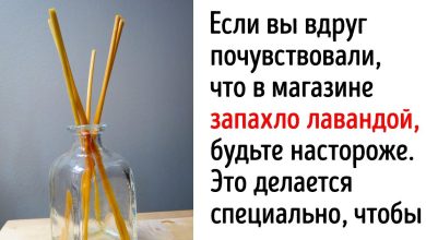 Photo of Интересные факты о парфюмерии