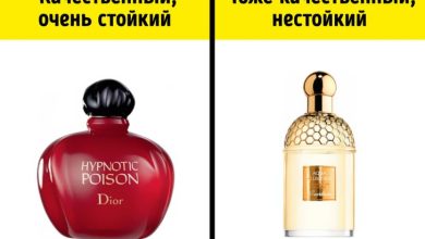Photo of Мифы о парфюмерии: правда или вымысел?
