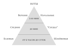 Photo of Основные компоненты парфюмерной композиции