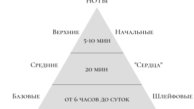 Photo of Основные компоненты парфюмерной композиции