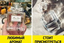 Photo of Как выбрать идеальный парфюм